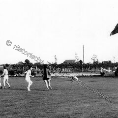 Week 28: Korfbalvereniging Vitesse op sportpark Ziedewij